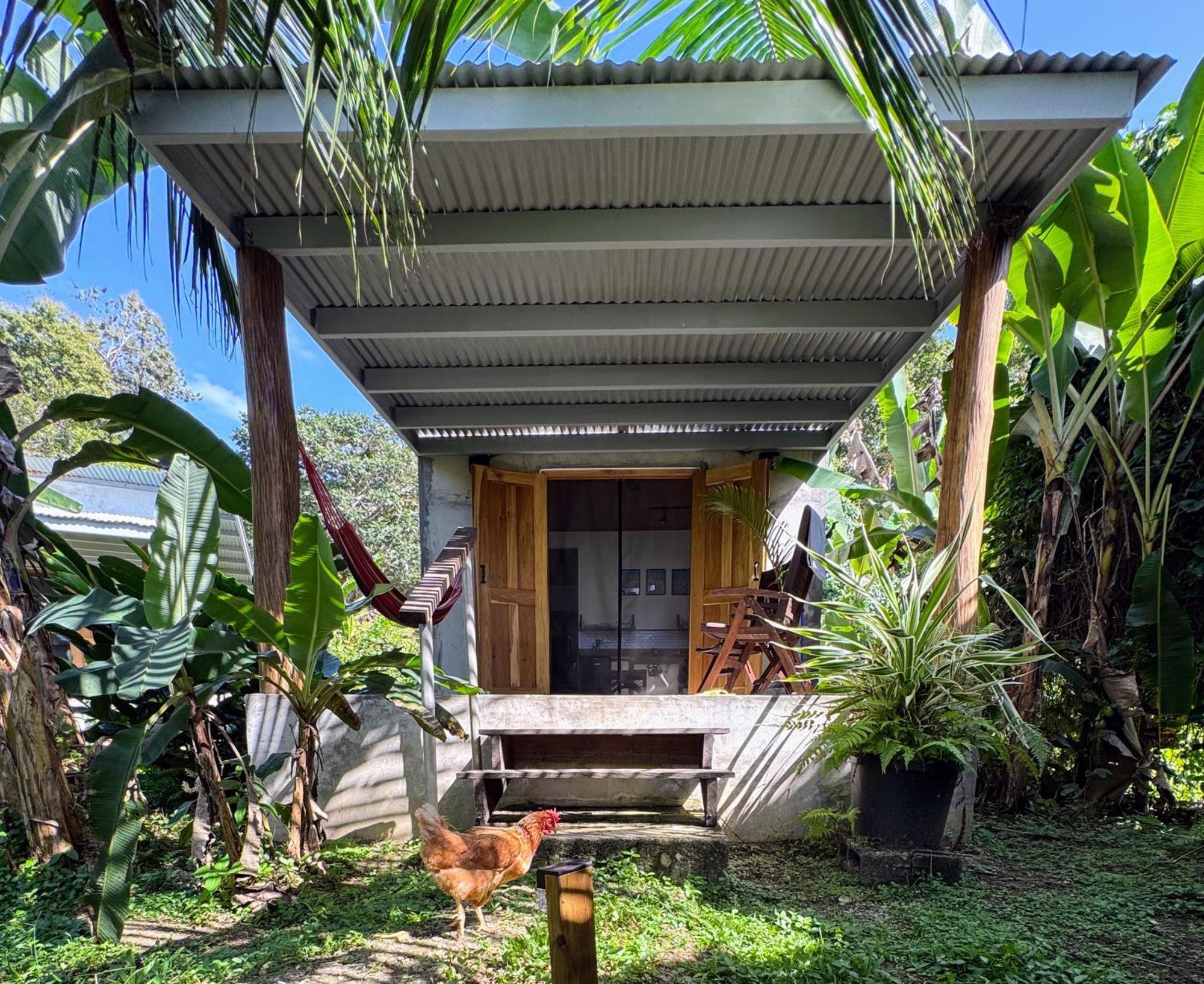 Casa Salvaje Vacation Rentals 보카스 타운 외부 사진
