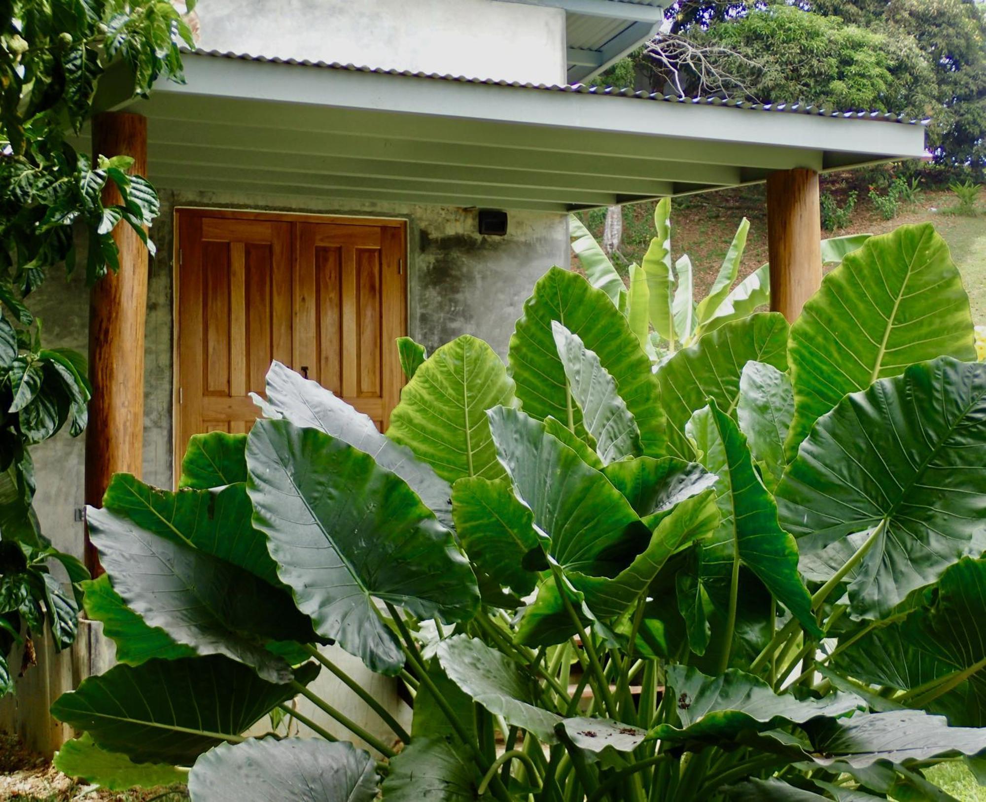 Casa Salvaje Vacation Rentals 보카스 타운 외부 사진